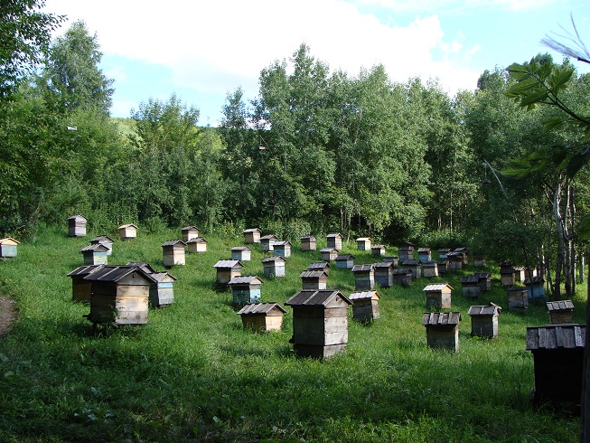 Улики
